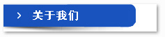 使命和愿景